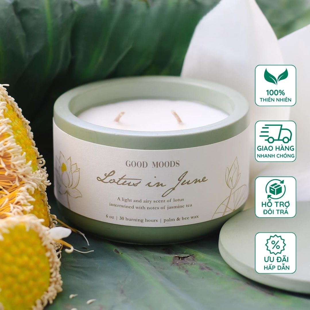 LOTUS IN JUNE | HÀ NỘI, HẠ VÀ SEN 